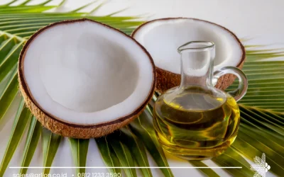 Coconut Oil Eating Benefits in Global Spotlight