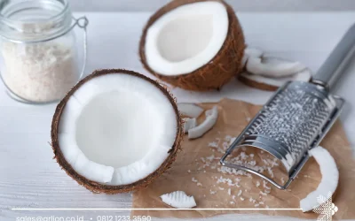 Indonesia Coconut Oil Supplier for Global Quality and Reliable Export