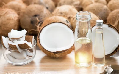 Virgin Coconut Oil Supplier Indonesia for Global Markets