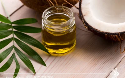 Coconut Oil RBD Suppliers for Reliable Global Business Partnerships